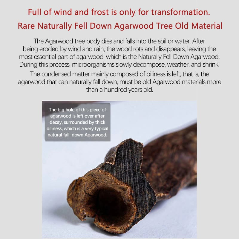 KarmaRipple's 999 Gold Rare Tarakan Agarwood Tibetan Old Spirit Bone Balance Strength Double Wrap Bracelet p12